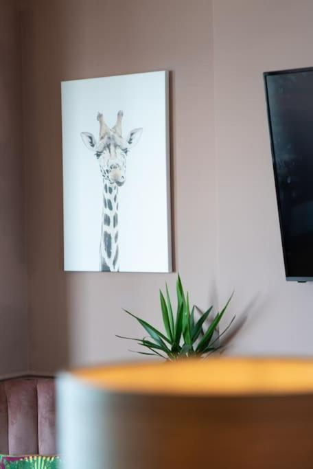 Stylish Beachfront Apartment, Sweeping Ocean Views And Luxury Touches Herne Bay Exterior foto